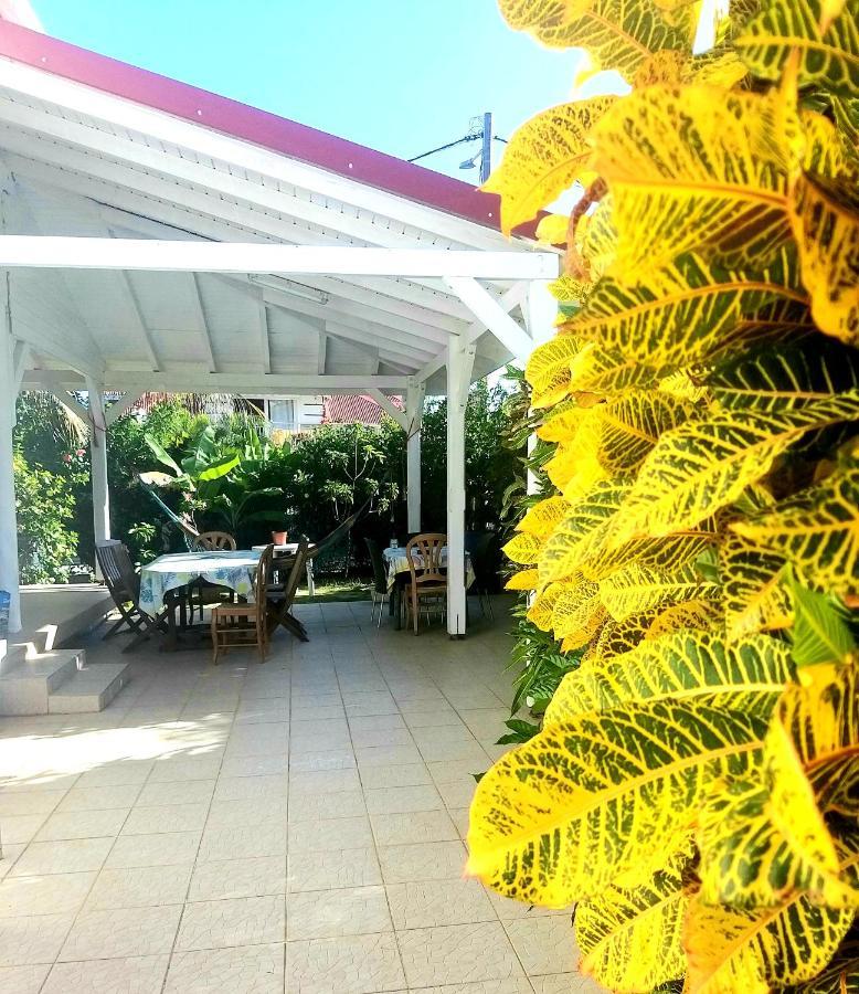 Studio 1 - Grande Anse - 4 Pers - Proche Bourg Terre-De-Haut Εξωτερικό φωτογραφία