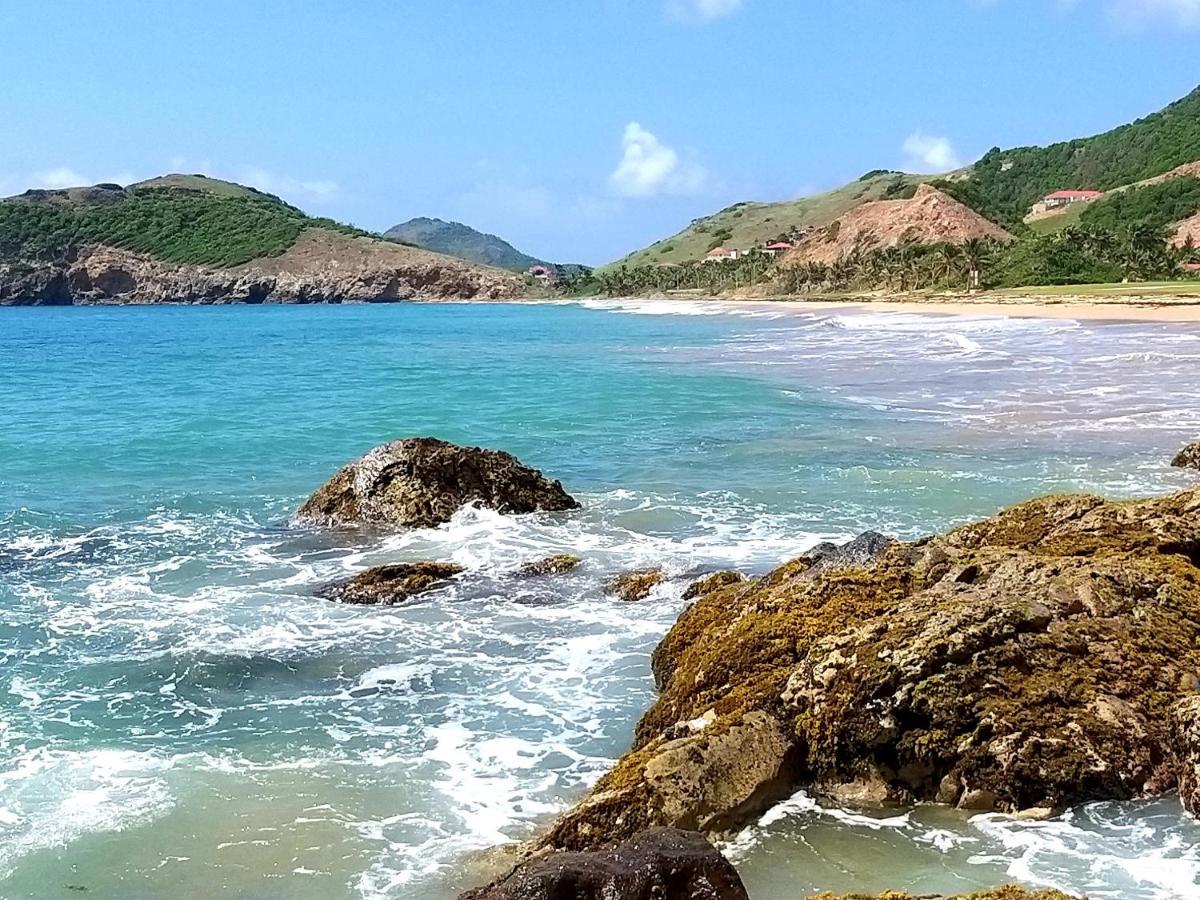 Studio 1 - Grande Anse - 4 Pers - Proche Bourg Terre-De-Haut Εξωτερικό φωτογραφία