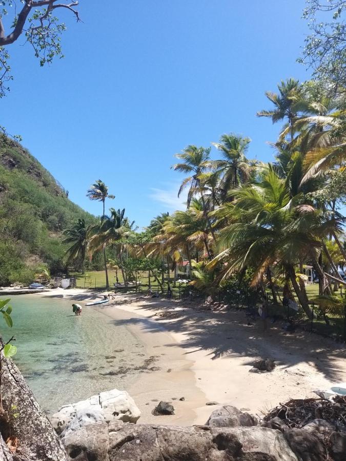 Studio 1 - Grande Anse - 4 Pers - Proche Bourg Terre-De-Haut Εξωτερικό φωτογραφία