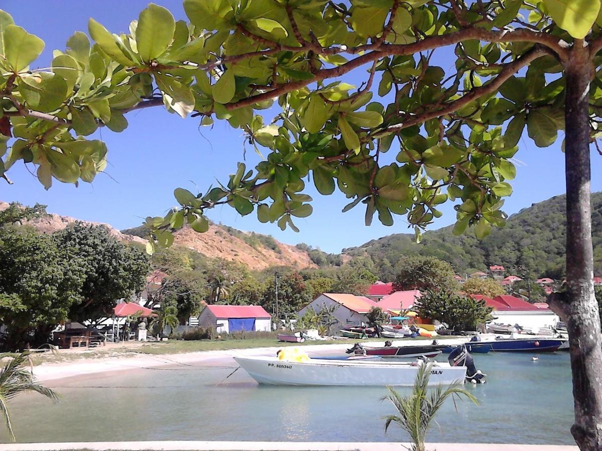 Studio 1 - Grande Anse - 4 Pers - Proche Bourg Terre-De-Haut Εξωτερικό φωτογραφία