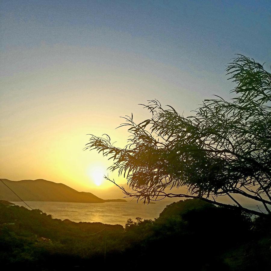 Studio 1 - Grande Anse - 4 Pers - Proche Bourg Terre-De-Haut Εξωτερικό φωτογραφία