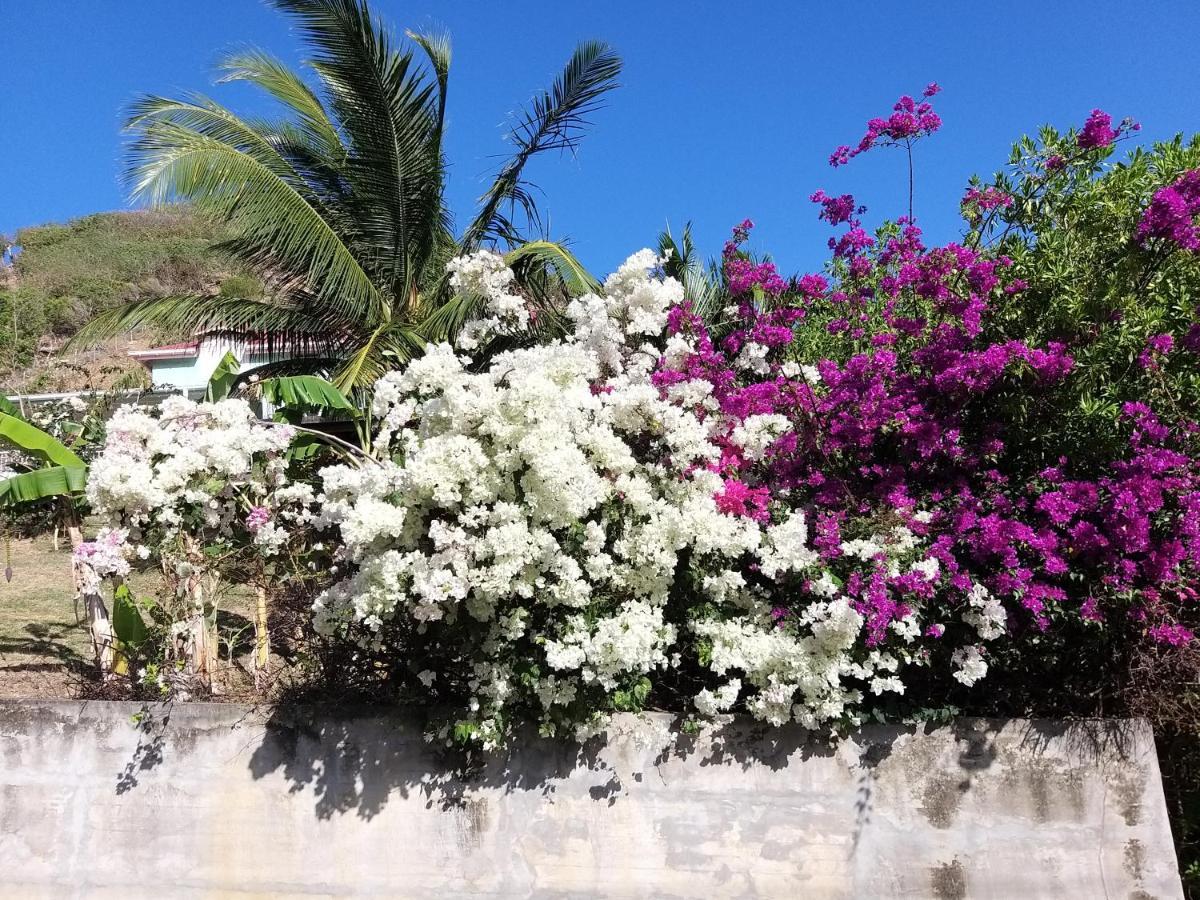 Studio 1 - Grande Anse - 4 Pers - Proche Bourg Terre-De-Haut Εξωτερικό φωτογραφία